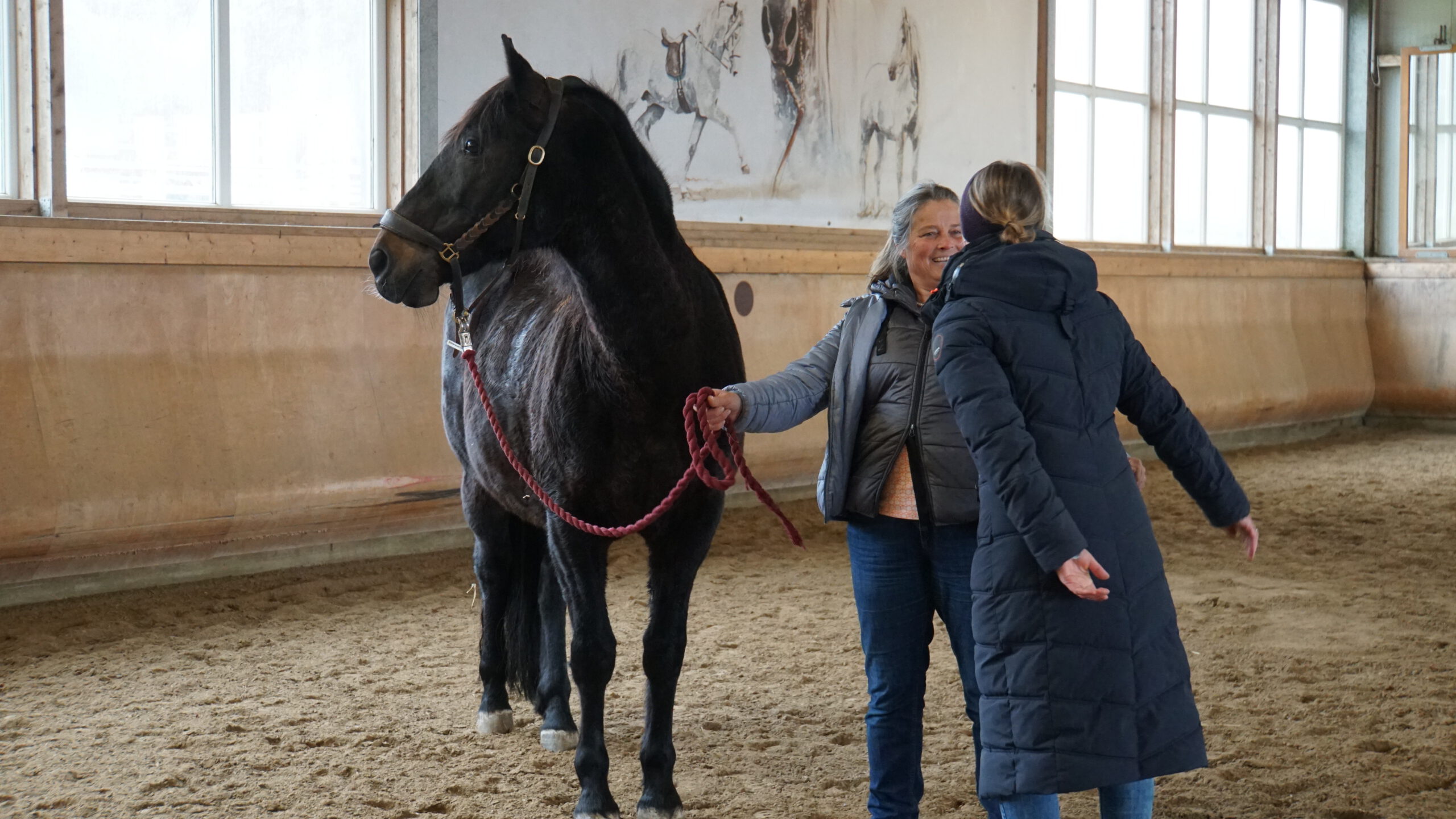 Nadja Schlecht MindRide Coach