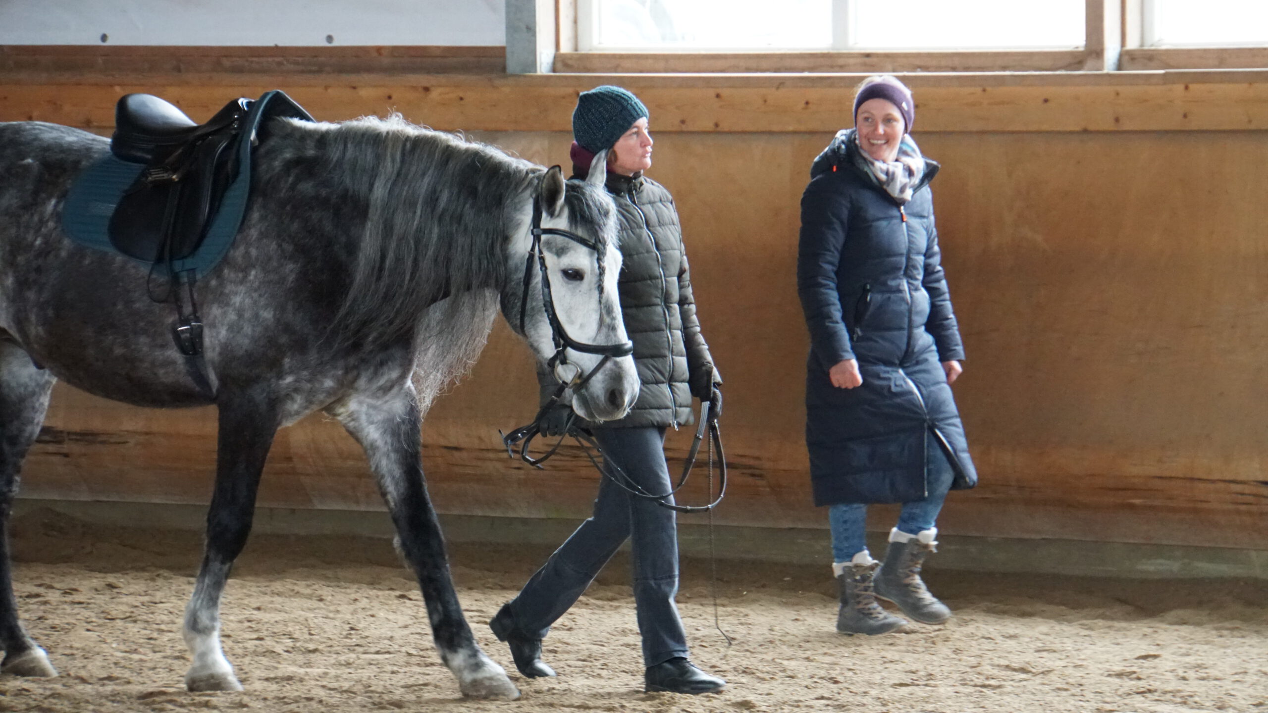 Pferdegestütztes Coaching mit Nadja Schlecht